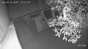 Caméra IP - People's Republic of China