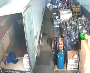 Caméra IP - Brésil