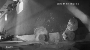 Caméra IP - República de Corea