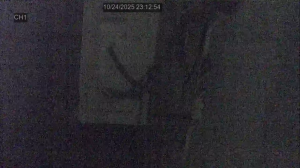 Caméra IP - Mauritius