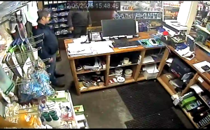 Caméra IP - Irlande