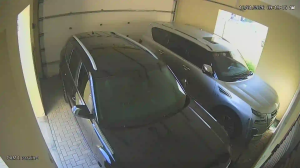 Caméra IP - United Arab Emirates