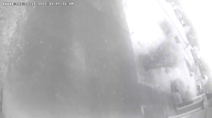 Caméra IP - United States of America