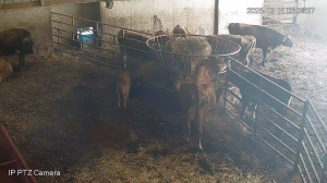 Caméra IP - États-Unis d'Amérique