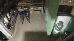 Caméra IP - Argentina