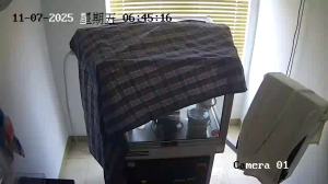 Caméra IP - Malaisie