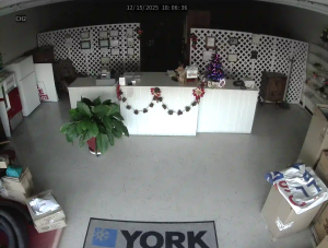 Caméra IP - Vereinigte Staaten von Amerika