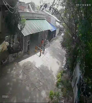 Caméra IP - Colombia