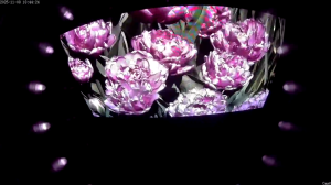 Caméra IP - Russian Federation