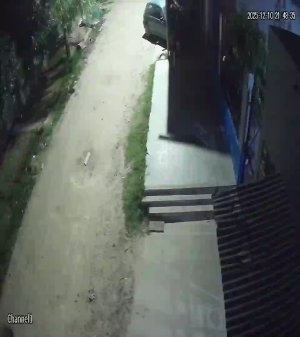 Caméra IP - Argentine