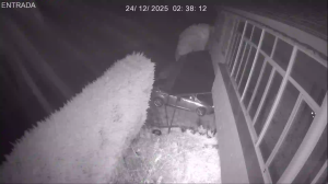 Caméra IP - Espagne