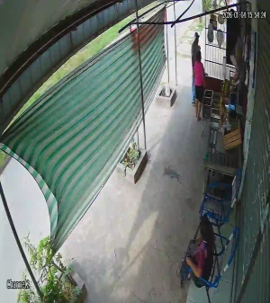 Caméra IP - Bolivien