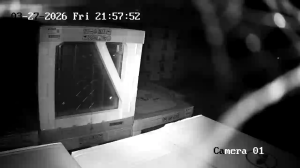 Caméra IP - Turquía