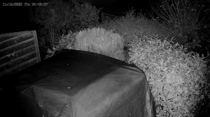 Caméra IP - Netherlands