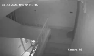 Caméra IP - Égypte