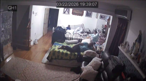 Caméra IP - United States of America