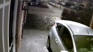 Caméra IP - Netherlands