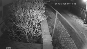 Caméra IP - Ucrania