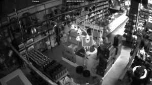 Caméra IP - South Africa