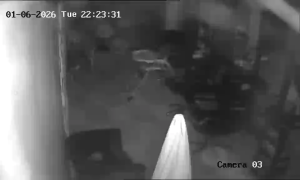 Caméra IP - United Kingdom