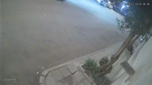 Caméra IP - Saudi Arabia