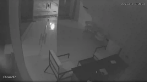 Caméra IP - Saudi Arabia