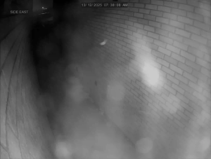 Caméra IP - Canadá