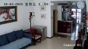 Caméra IP - Chine