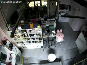 Caméra IP - Russian Federation