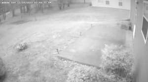 Caméra IP - United States of America