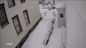 Caméra IP - États-Unis d'Amérique