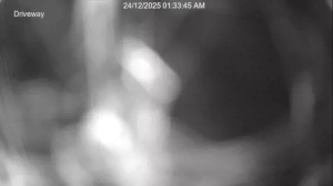 Caméra IP - Nouvelle-Zélande