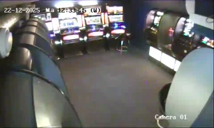 Caméra IP - Dinamarca