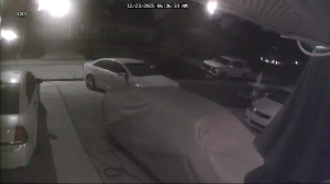 Caméra IP - États-Unis d'Amérique