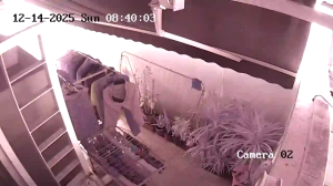 Caméra IP - Singapore