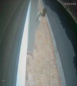 Caméra IP - Südafrika