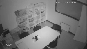 Caméra IP - South Korea