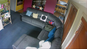 Caméra IP - Australia