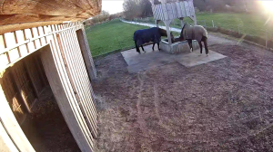 Caméra IP - Alemania