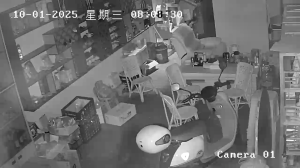 Caméra IP - Cina