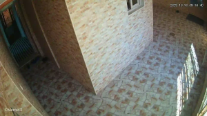 Caméra IP - Kuwait