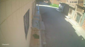 Caméra IP - Algeria