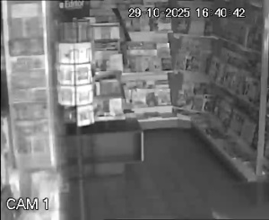 Caméra IP - Francia