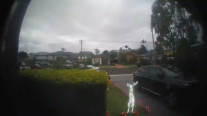 Caméra IP - Australien