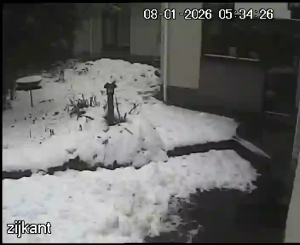 Caméra IP - Paesi Bassi