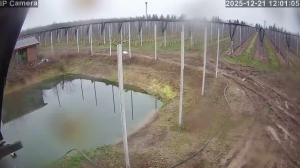 Caméra IP - Hungría