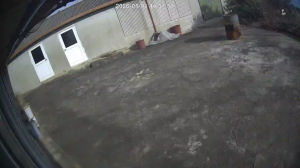 Caméra IP - Südkorea