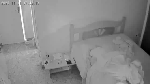 Caméra IP - Brésil