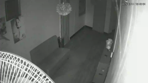 Caméra IP - Corée du Sud