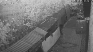 Caméra IP - Paesi Bassi